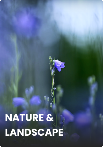 Nature Video - NIKKOR 90 years | Nikon Cameras, Lenses & Accessories